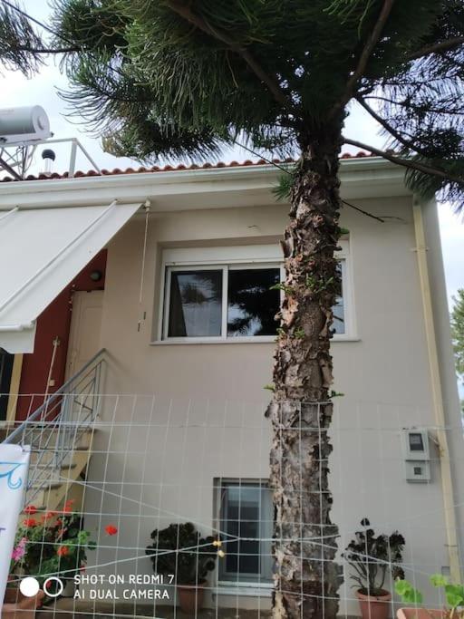 Grecos Apartment Превеза Екстериор снимка